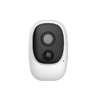 Remote Control Night Vision Two-way Audio Pir Wify Outdoor Camera Work with Tuya Amazon Google App