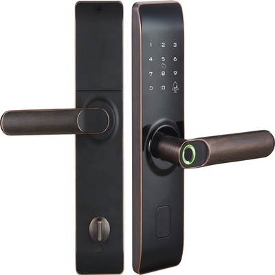 High Quality Fingerprint Tuya WiFi APP Smart Zinc Alloy Lock Door Lock For Apartment House