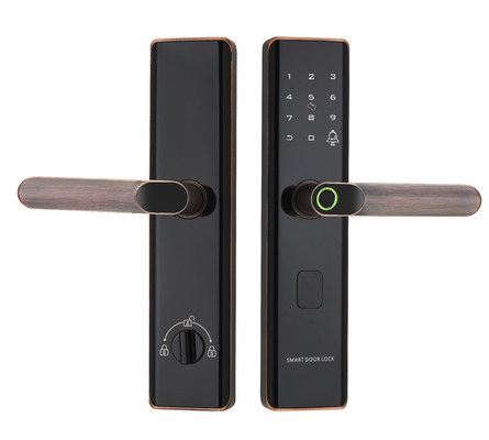 Euro Intelligent Door Lock Tuya Biometric Fingerprint Lock Black