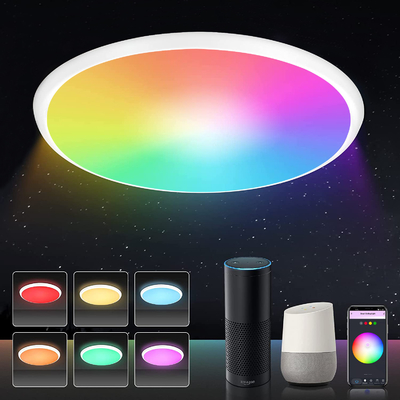 24w Tuya Smart Ceiling Light Colorful Rgb Remote Control Led Modern Music