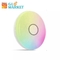36W Modern Music Ceiling Light Colorful RGB Remote Control APP Smart Music LED Ceiling Light