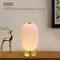 Smart Lantern Table Lamp Decorative Tuya APP Alexa Google Smart WiFi LED Light
