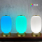 Smart Lantern Table Lamp Decorative Tuya APP Alexa Google Smart WiFi LED Light