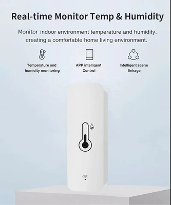 2.4GHz Smart WiFi Digital Thermostat Real Time Temperature Humidity Sensor