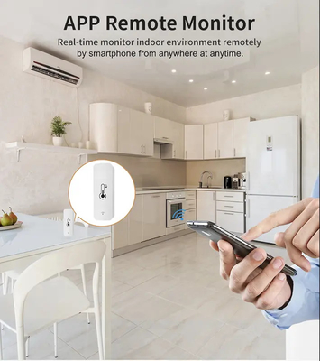 2.4GHz Smart WiFi Digital Thermostat Real Time Temperature Humidity Sensor