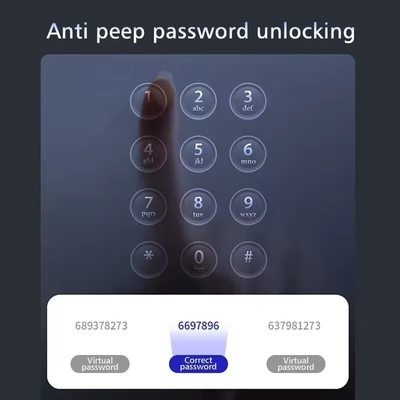 Tuya fully automatic facial recognition fingerprint lock with lock body