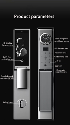 Luxurious facial recognition lock with high-quality visual intercom and real-time monitoring