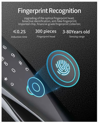 Glomarket 3D Face WIFI Smart Fully Automatic Smart Lock Fingerprint APP Card Key Unlock Intelligent Door Lock With Camera