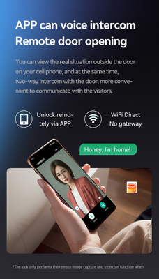 Glomarket Tuya Wifi Smart Lock Aluminum Wooden Door Face Recognition Palmprint Biometric Fingerprint Digital Smart Lock