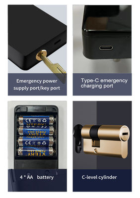 Glomarket Tuya TTlock Fingerprint Digital Password Apartment Home Room Cerraduras Inteligentes Security Smart Wooden Door Lock
