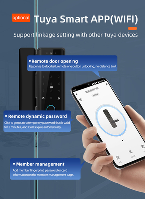 Glomarket Tuya Smart 3d Face Recognition Wifi Glass Door Lock Fingerprint Card Password Electronic Glass Door Lock For Office