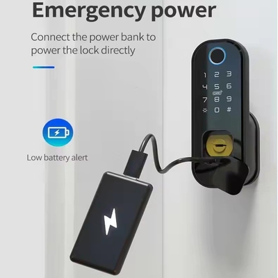 Glomarket Smart Home Waterproof Smart Electric Rim Lock with Tuya APP Control WIFI Outdoor Gate Door Fingerprint Smart Lock