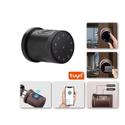 Glomarket New Style Tuya App Control Smart Lock Door Fingerprint Password Home Hotel Apartment Electronic Smart Door Knob Lock