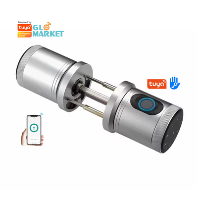 Glomarket New Style Tuya App Control Smart Lock Door Fingerprint Password Home Hotel Apartment Electronic Smart Door Knob Lock