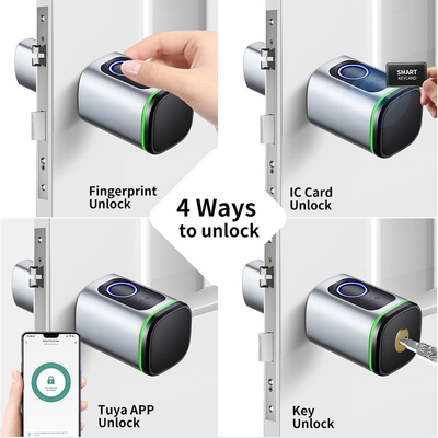 Glomarket Home Smart Door Lock Ttlock Smart Fingerprint Card Key Unlock Adjustable Cylinder Euro Smart Lock Tuya App Door Lock