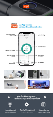 Glomarket Home Smart Door Lock Ttlock Smart Fingerprint Card Key Unlock Adjustable Cylinder Euro Smart Lock Tuya App Door Lock