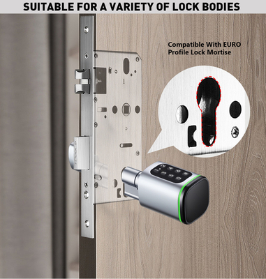 Glomarket Tuya Ttlock Smart Digital Keyless Door Lock Cylinder Combination Password &amp; Card Electronic Lock Cylinders Smart Lock