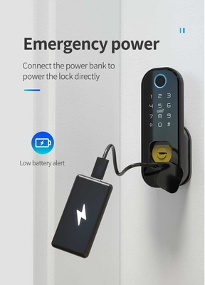 Smartlife Tuya Biometric Fingerprint Lock Aluminum Smartlife Door Lock