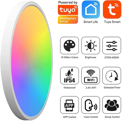 24w Tuya Smart Ceiling Light Colorful Rgb Remote Control Led Modern Music