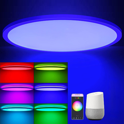 24w Tuya Smart Ceiling Light Colorful Rgb Remote Control Led Modern Music