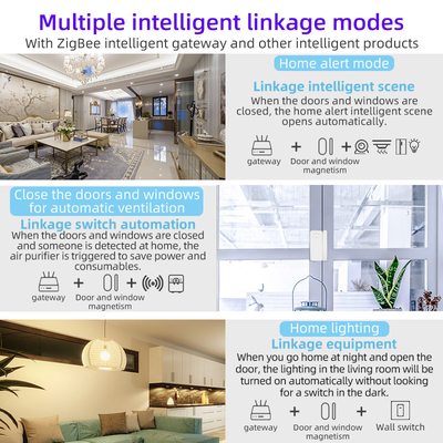 Glomarket Smart Home EU WiFi Smart Plug  For home automation Works with Google&amp;Alexa Support APP Remote Control